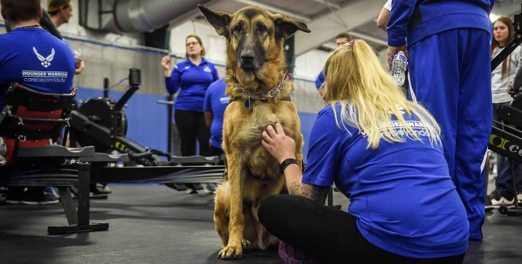 Veterans and Service Dogs: The Bond that Heals